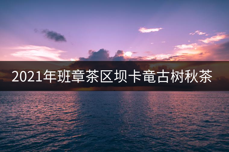 2021年班章茶區(qū)壩卡竜古樹秋茶多少錢一公斤？