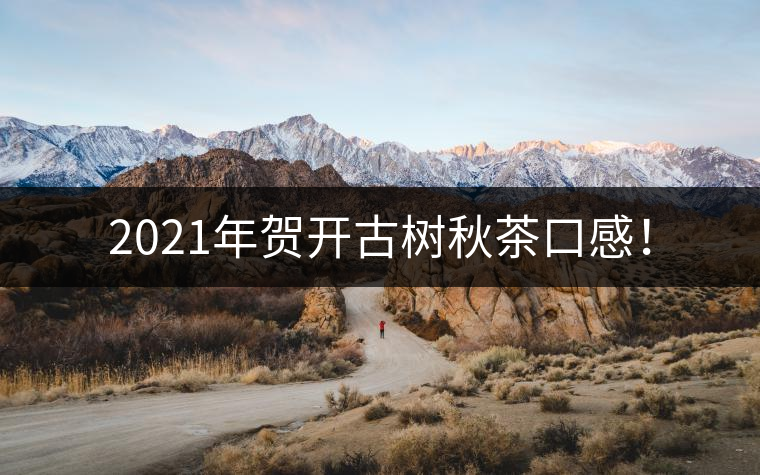 2021年賀開古樹秋茶口感！