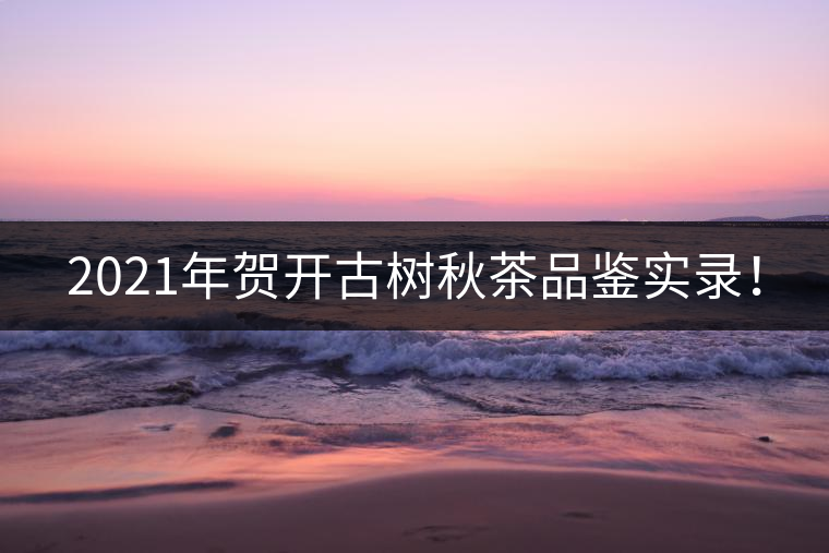 2021年賀開(kāi)古樹(shù)秋茶品鑒實(shí)錄！