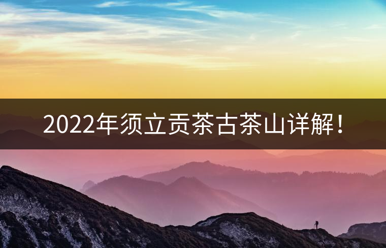 2022年須立貢茶古茶山詳解！