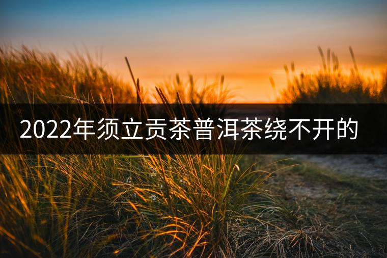 2022年須立貢茶普洱茶繞不開(kāi)的古茶山！