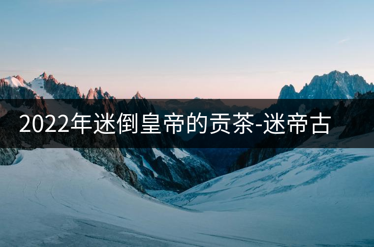 2022年迷倒皇帝的貢茶-迷帝古樹(shù)春茶特點(diǎn)？