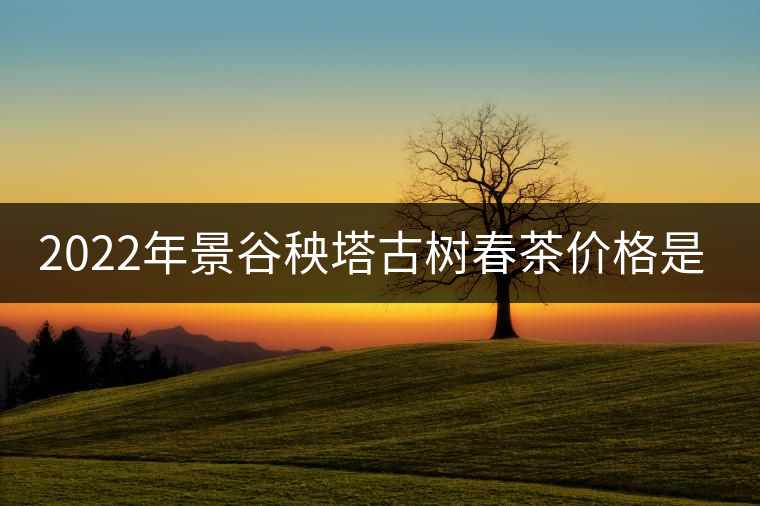 2022年景谷秧塔古樹春茶價格是多少？