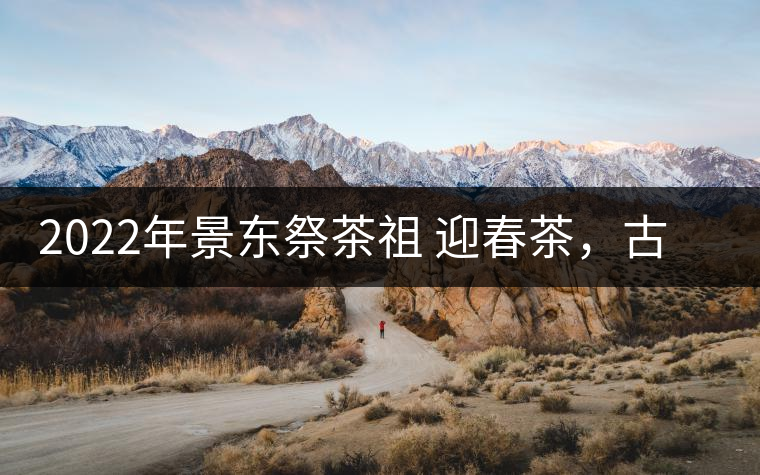 2022年景東祭茶祖 迎春茶，古樹春茶多少錢一公斤？