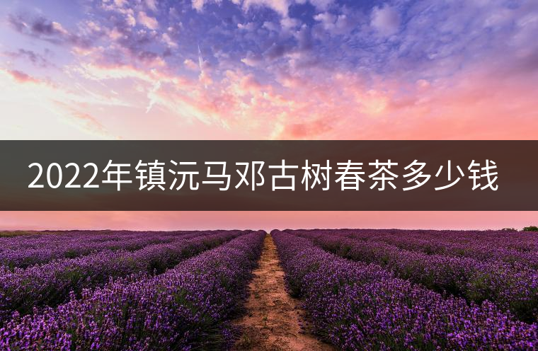 2022年鎮(zhèn)沅馬鄧古樹春茶多少錢一公斤？