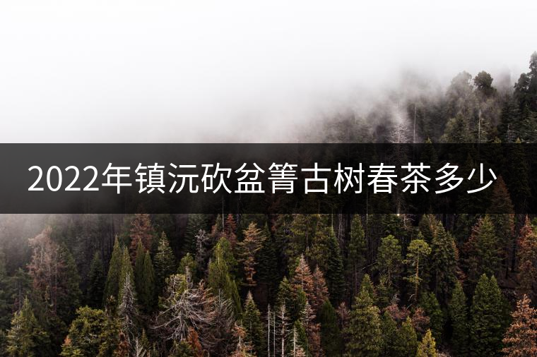2022年鎮(zhèn)沅砍盆箐古樹春茶多少錢一公斤？