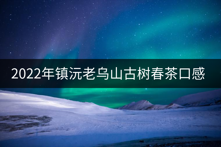 2022年鎮(zhèn)沅老烏山古樹春茶口感？