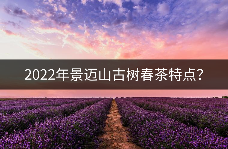 2022年景邁山古樹春茶特點(diǎn)？
