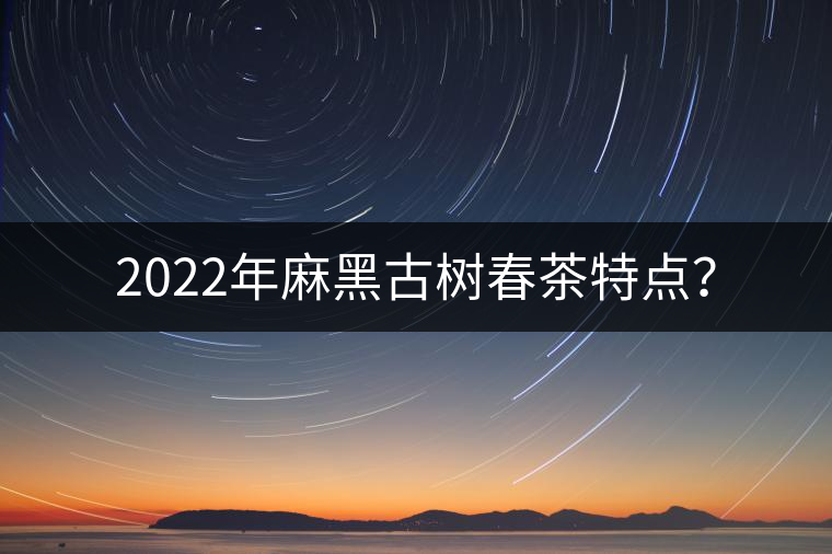 2022年麻黑古樹(shù)春茶特點(diǎn)？