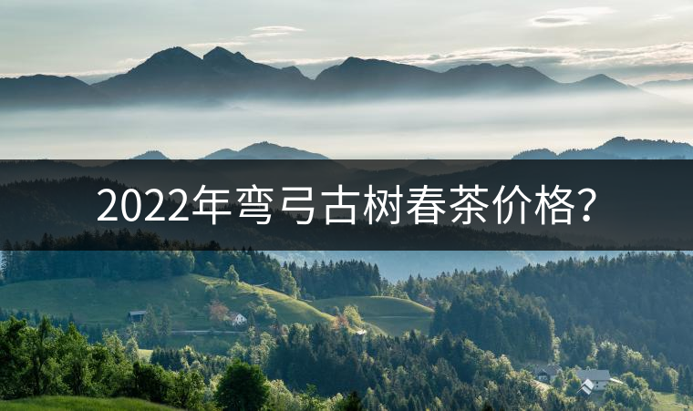 2022年彎弓古樹春茶價(jià)格？