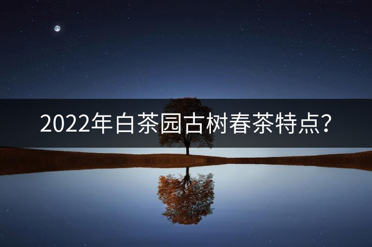 2022年白茶園古樹春茶特點(diǎn)？