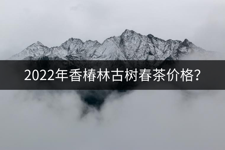 2022年香椿林古樹春茶價格？