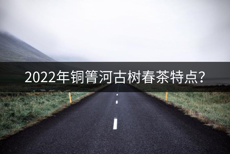 2022年銅箐河古樹(shù)春茶特點(diǎn)？