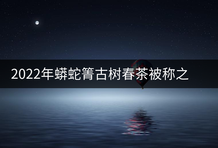 2022年蟒蛇箐古樹(shù)春茶被稱之為“蛇精”的普洱茶 2022年蟒蛇箐古樹(shù)春茶被稱之為“蛇精”的普洱茶