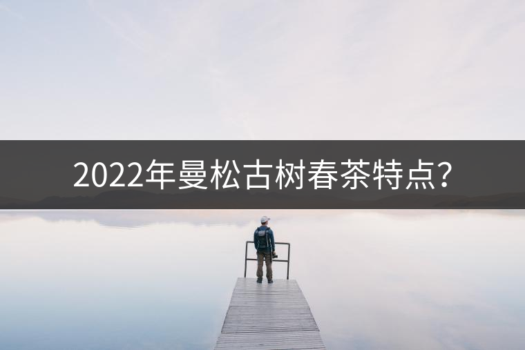 2022年曼松古樹(shù)春茶特點(diǎn)？