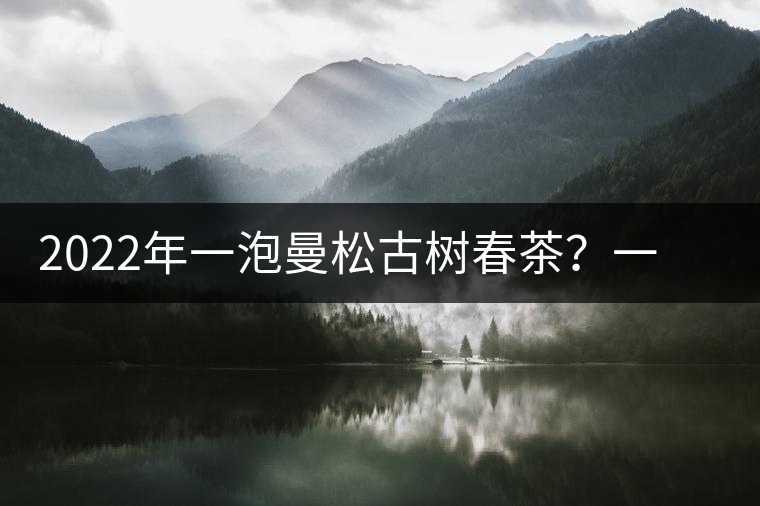 2022年一泡曼松古樹春茶？一飲帝王味……