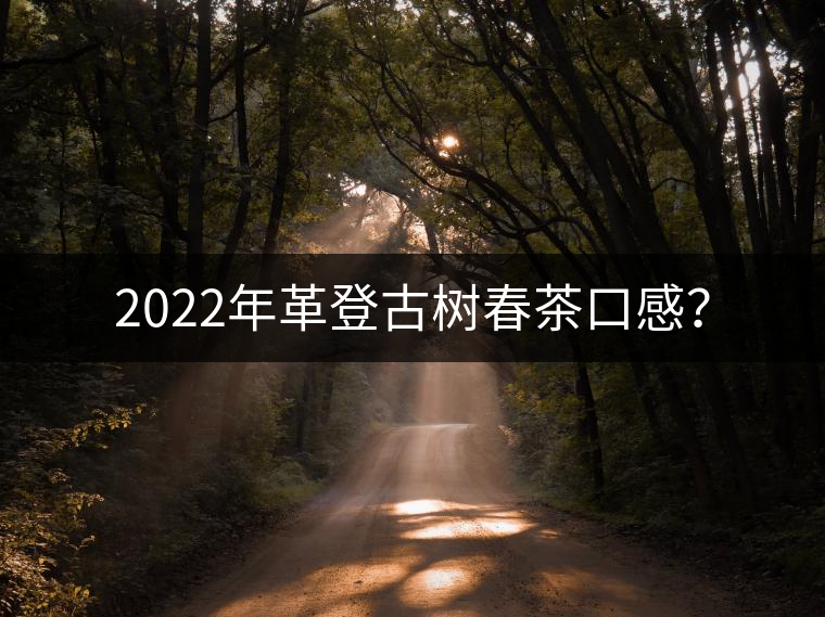 2022年革登古樹春茶口感？