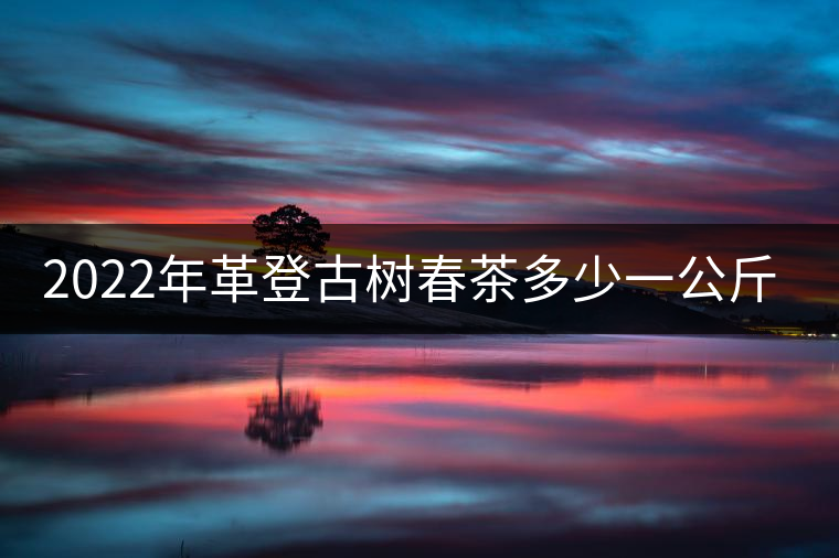 2022年革登古樹春茶多少一公斤？