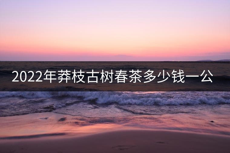 2022年莽枝古樹(shù)春茶多少錢(qián)一公斤？