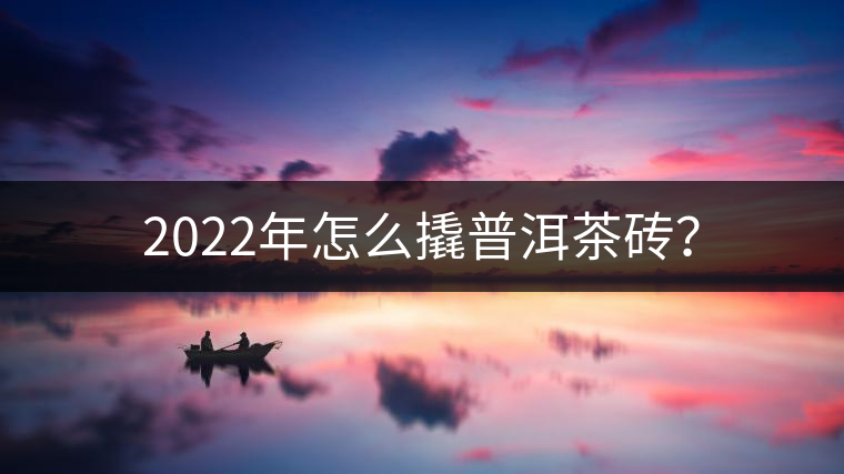 2022年怎么撬普洱茶磚？