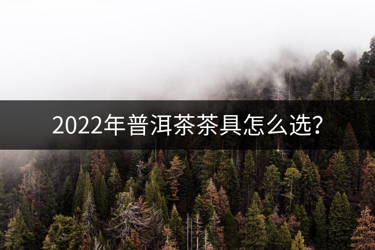 2022年普洱茶茶具怎么選？