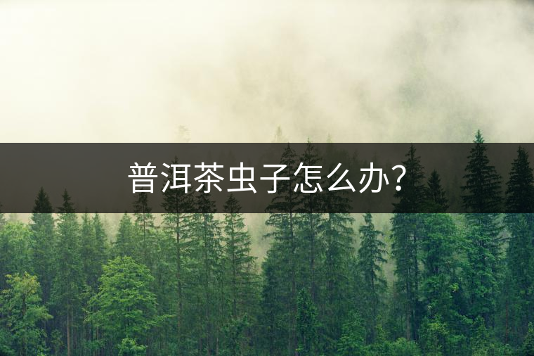 普洱茶蟲子怎么辦？