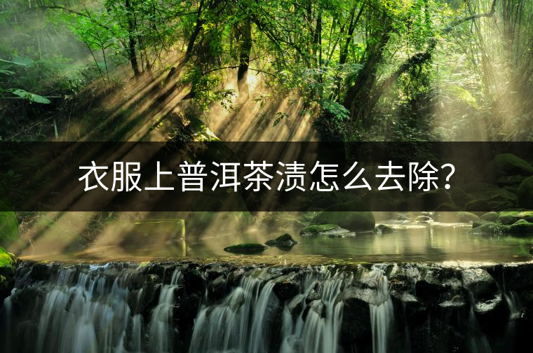 衣服上普洱茶漬怎么去除？