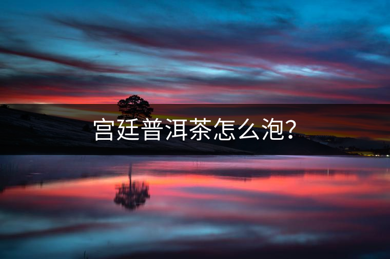 宮廷普洱茶怎么泡？