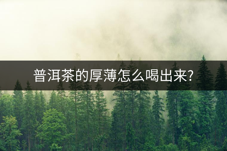 普洱茶的厚薄怎么喝出來(lái)? 普洱茶的厚薄怎么喝出來(lái)?