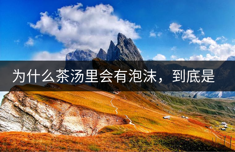 為什么茶湯里會(huì)有泡沫，到底是怎么回事？