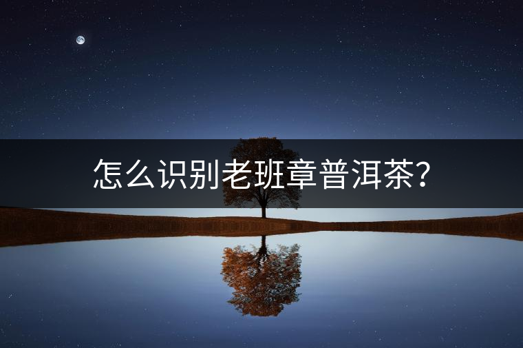 怎么識別老班章普洱茶？