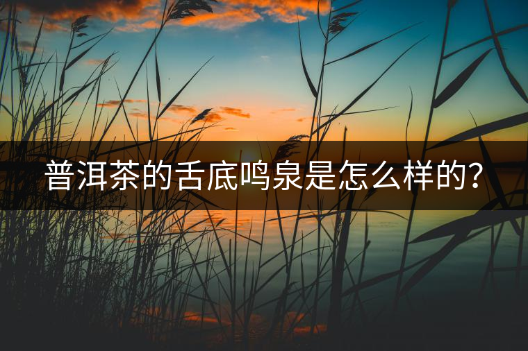 普洱茶的舌底鳴泉是怎么樣的？