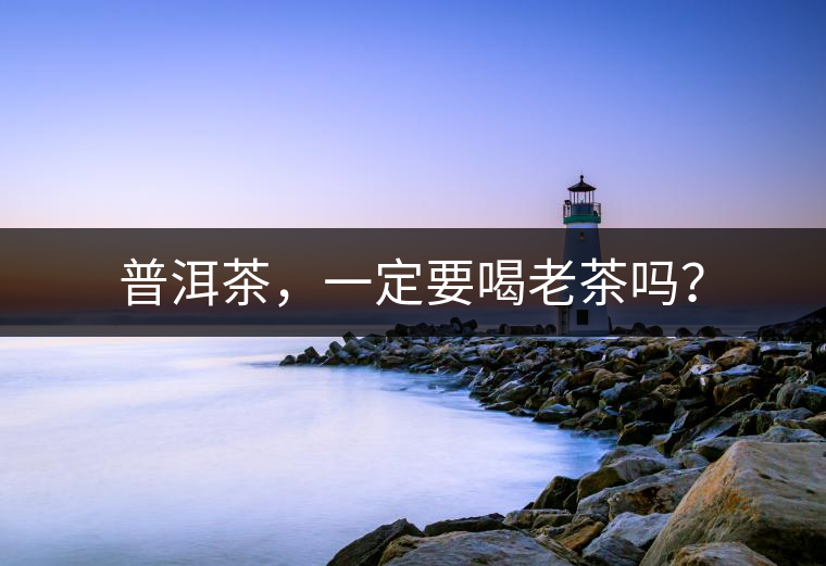 普洱茶，一定要喝老茶嗎？
