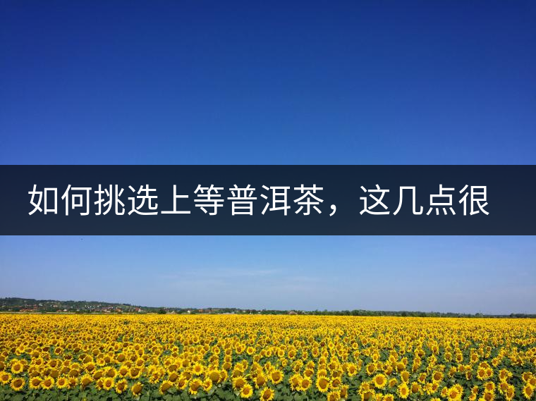 如何挑選上等普洱茶，這幾點(diǎn)很關(guān)鍵