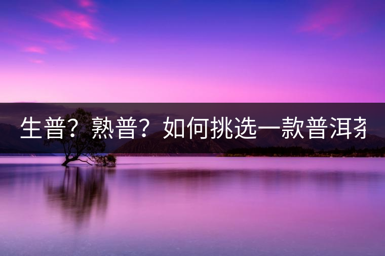 生普？熟普？如何挑選一款普洱茶？