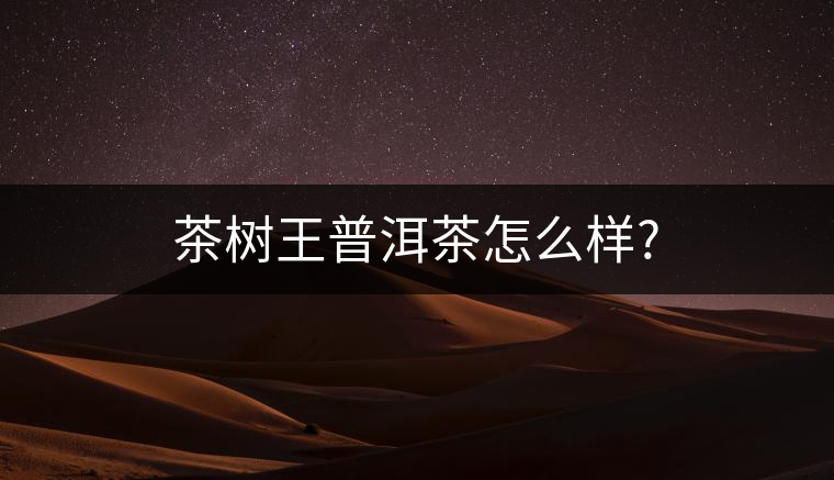 茶樹王普洱茶怎么樣? 茶樹王普洱茶怎么樣?