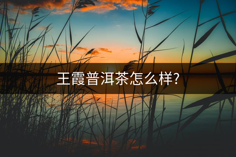 王霞普洱茶怎么樣? 王霞普洱茶怎么樣?