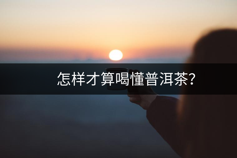 　怎樣才算喝懂普洱茶？