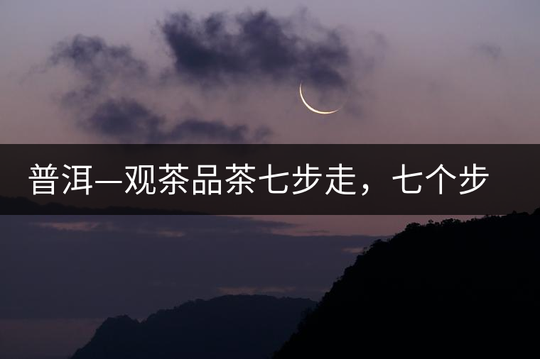 普洱—觀茶品茶七步走，七個步驟，喝懂普洱茶