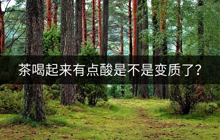 茶喝起來有點酸是不是變質(zhì)了？