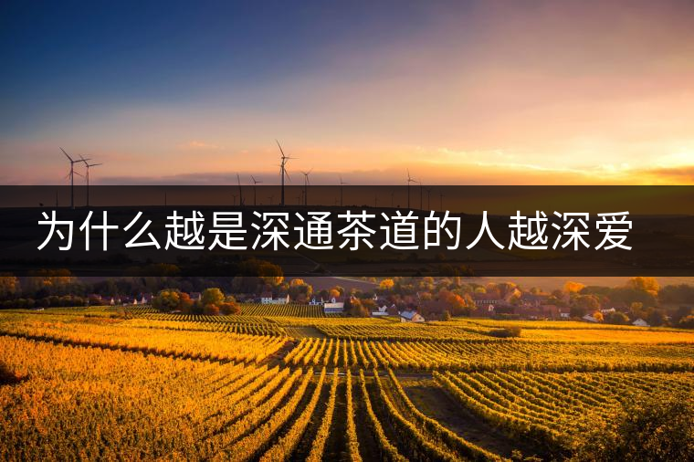 為什么越是深通茶道的人越深愛普洱茶？喜歡普洱茶，有三個(gè)原因。