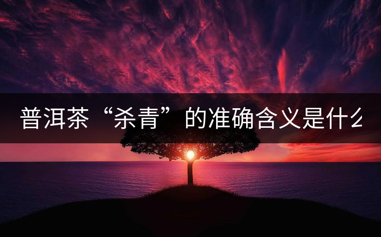 普洱茶“殺青”的準(zhǔn)確含義是什么？