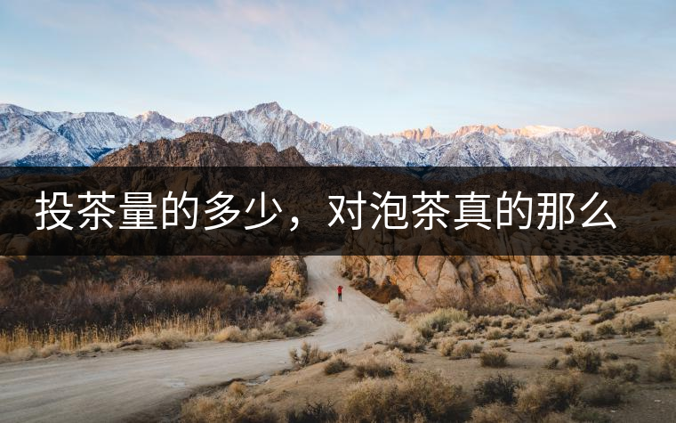 投茶量的多少，對泡茶真的那么重要嗎？
