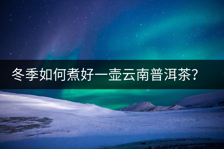 冬季如何煮好一壺云南普洱茶？記好這份煮茶攻略