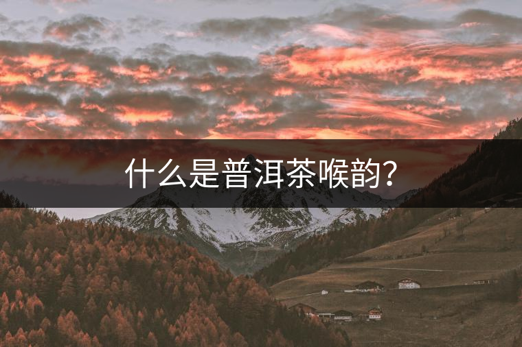 什么是普洱茶喉韻？