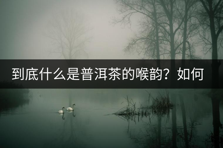 到底什么是普洱茶的喉韻？如何感受？