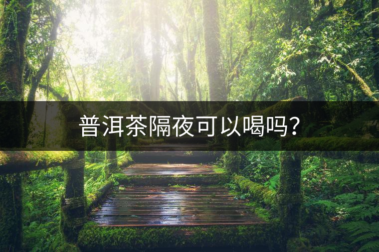 普洱茶隔夜可以喝嗎？