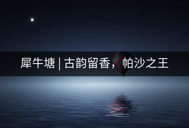 犀牛塘 | 古韻留香，帕沙之王