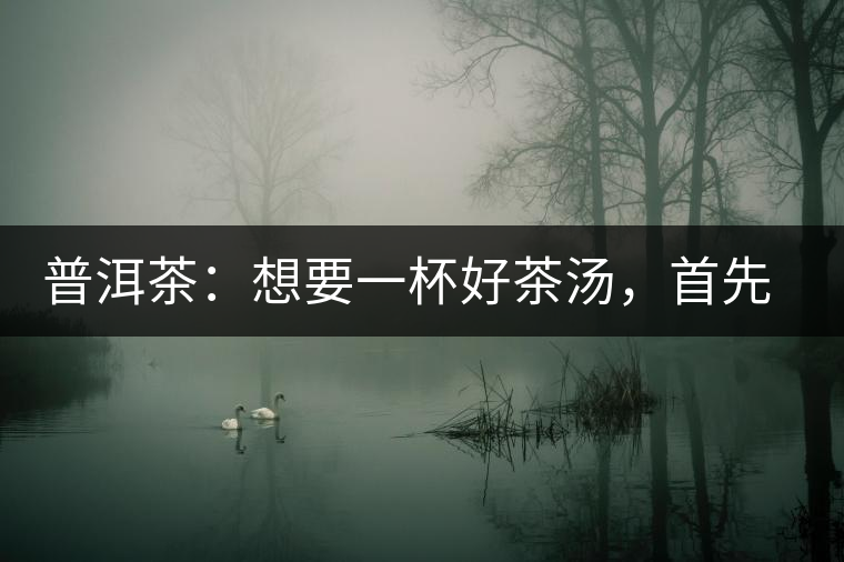 普洱茶：想要一杯好茶湯，首先要會(huì)醒茶