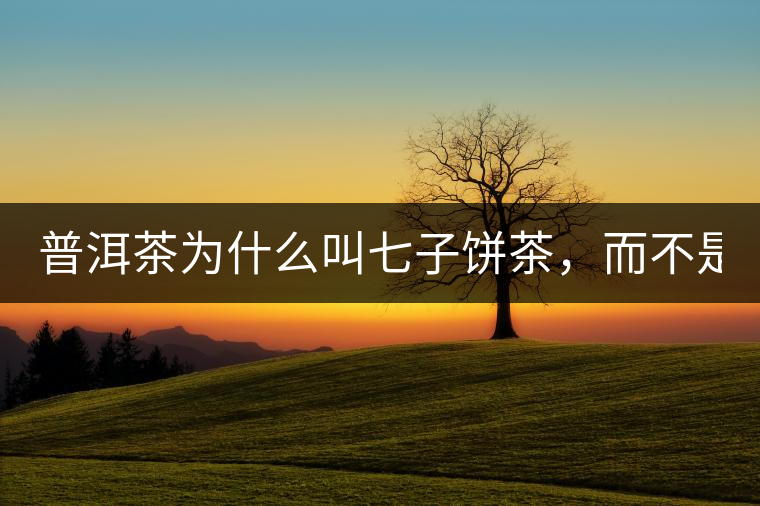 普洱茶為什么叫七子餅茶，而不是六子餅、八子餅......？